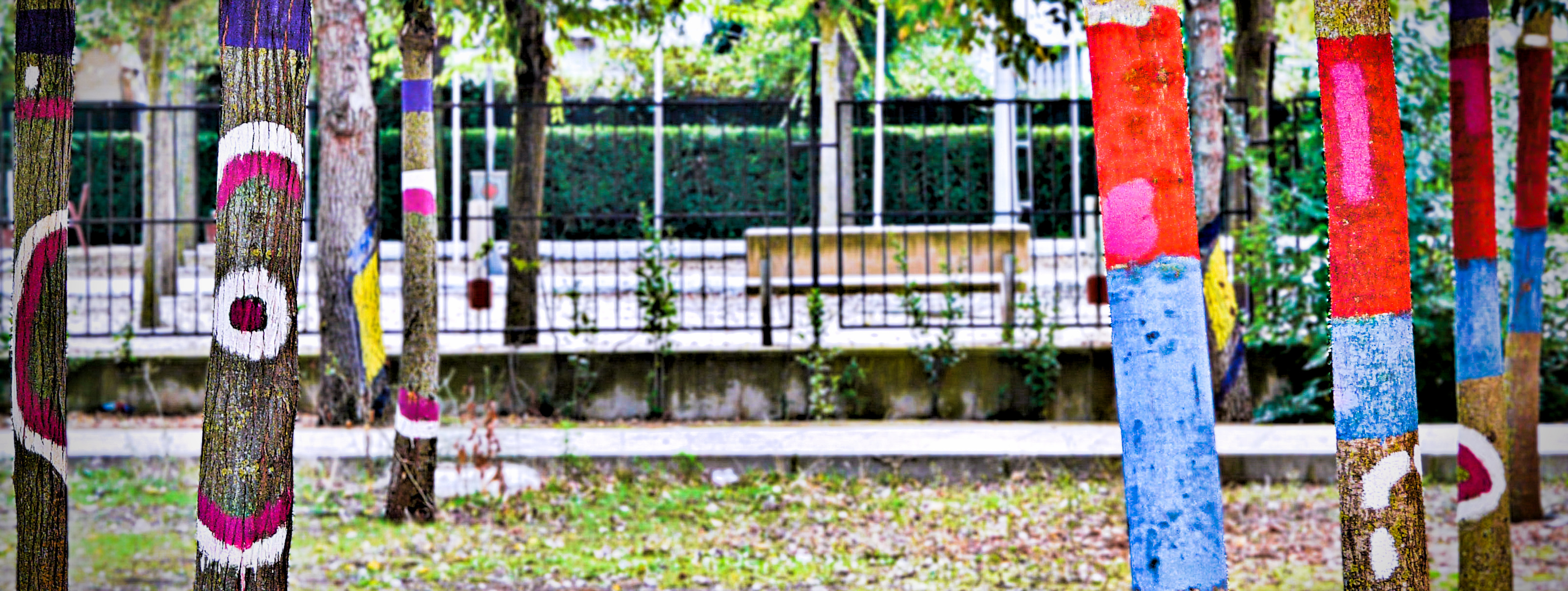 IES CAMPO DE CALATRAVA