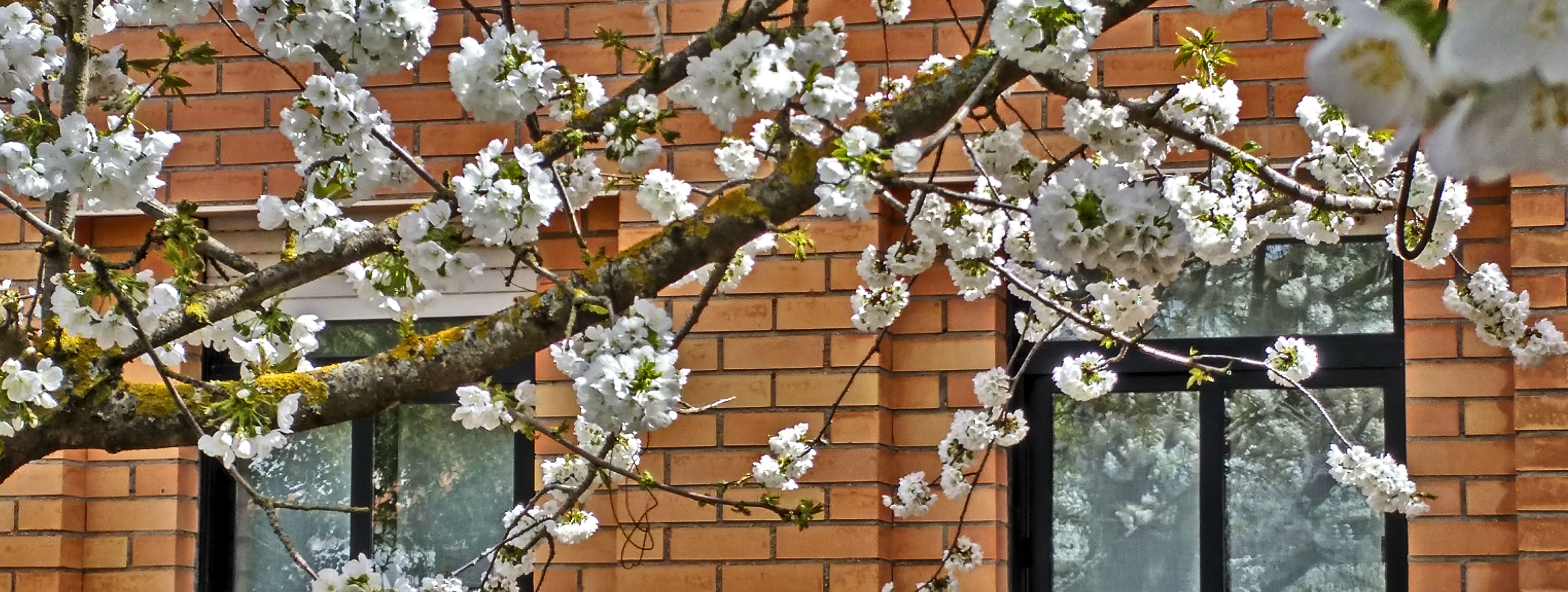 IES CAMPO DE CALATRAVA