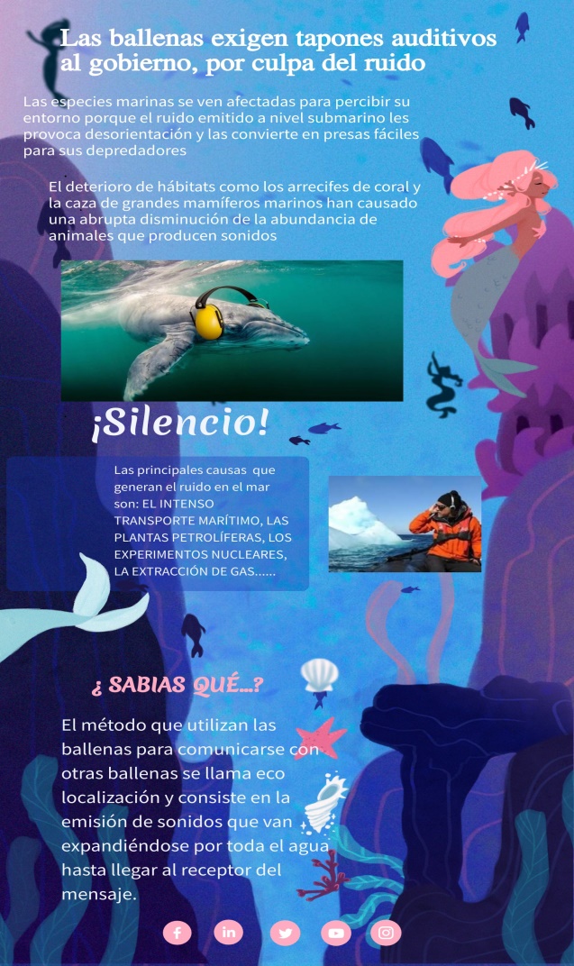 BALLENAS.jpeg